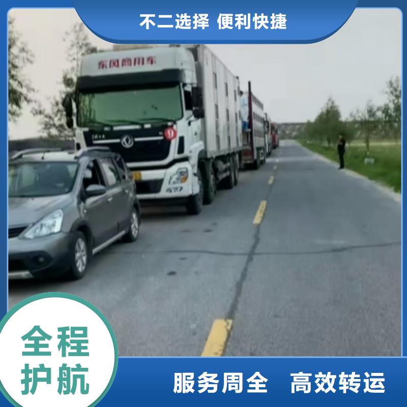 濮阳到林芝物流专线货运公司