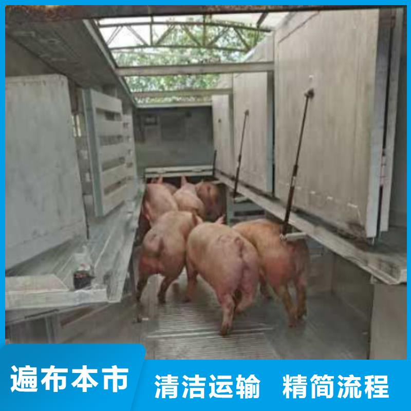 濮阳到湖南物流专线货运公司