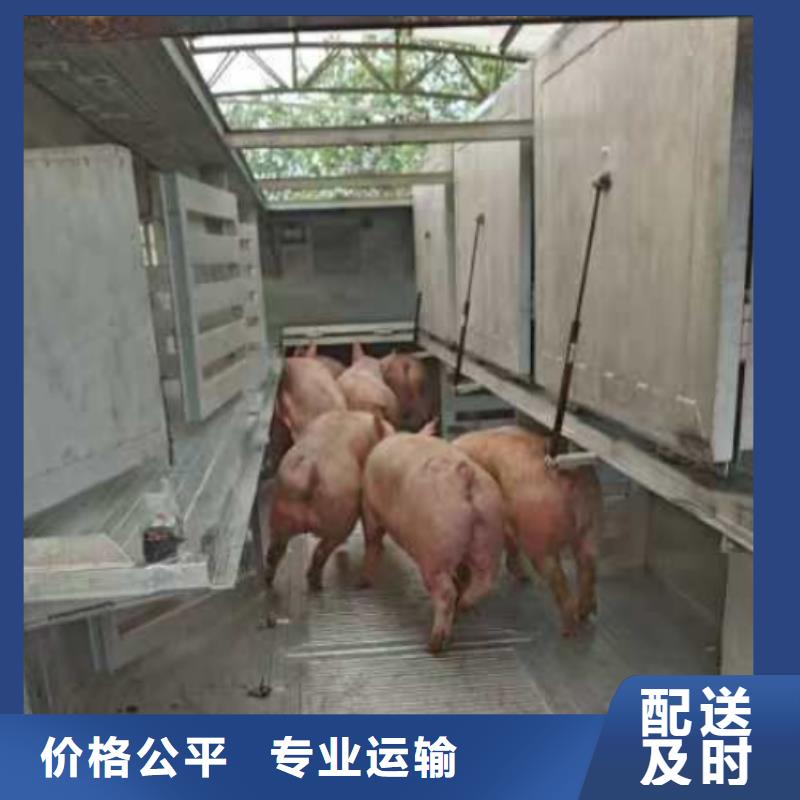 濮阳到苏州物流专线货运公司