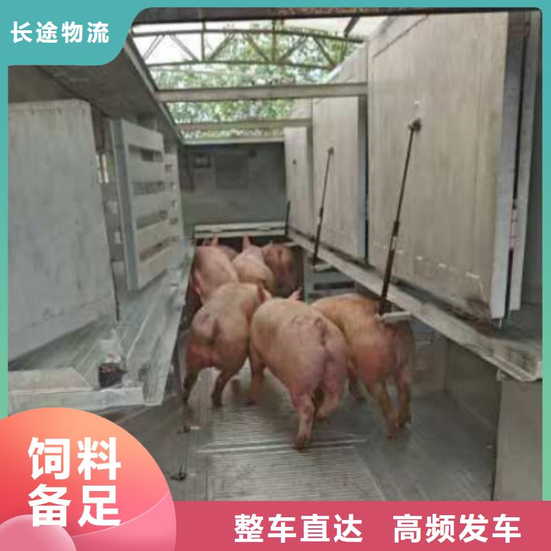 滁州到泰安物流专线货运公司