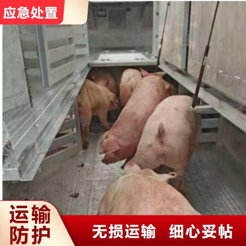 淮北到临沧物流专线货运公司