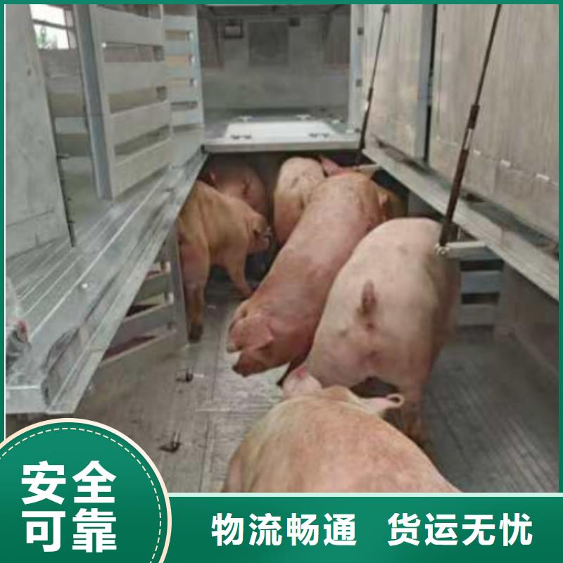 颍州到太原物流专线货运公司