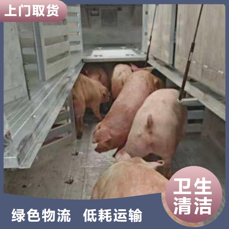 濮阳到楚雄物流专线货运公司