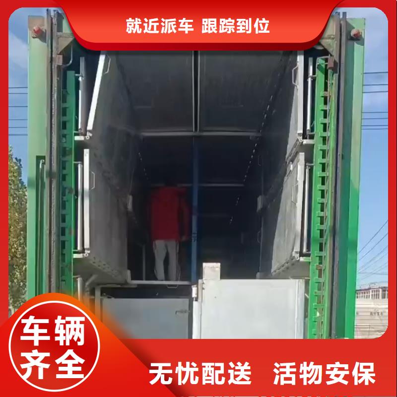 涟水到昌都物流专线货运公司