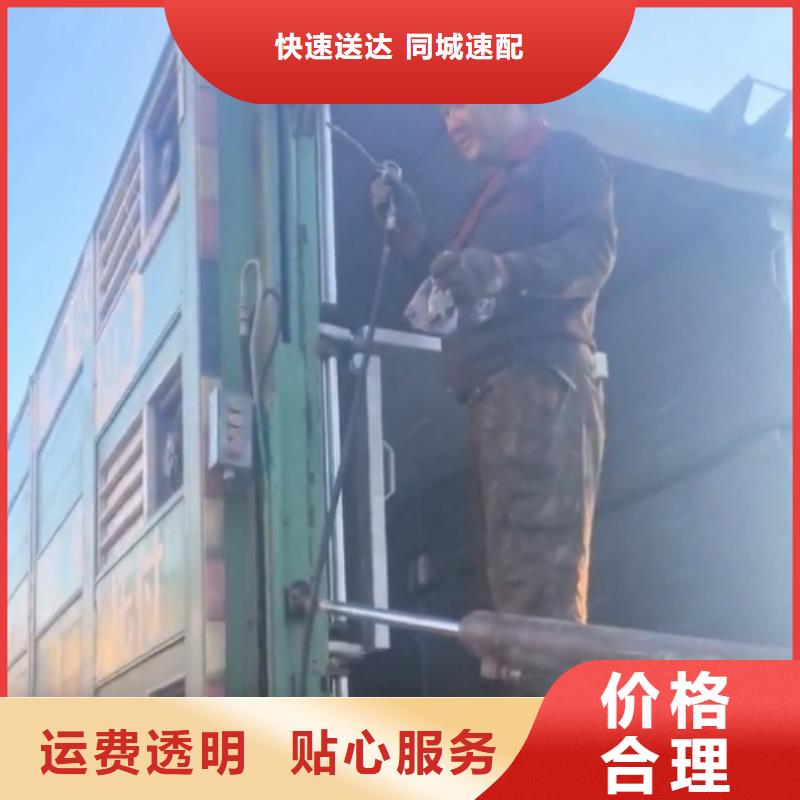 周口到赤峰物流专线货运公司