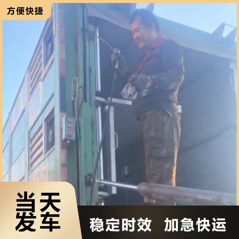 淮北到齐齐哈尔物流专线货运公司