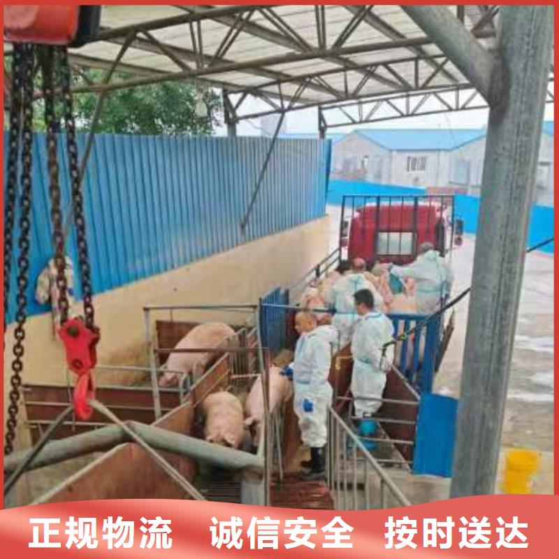 日照到南平物流专线货运公司