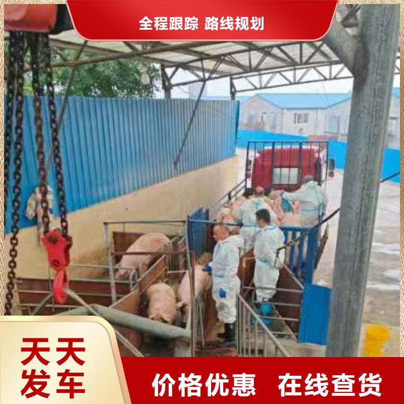 滁州到黔南物流专线货运公司