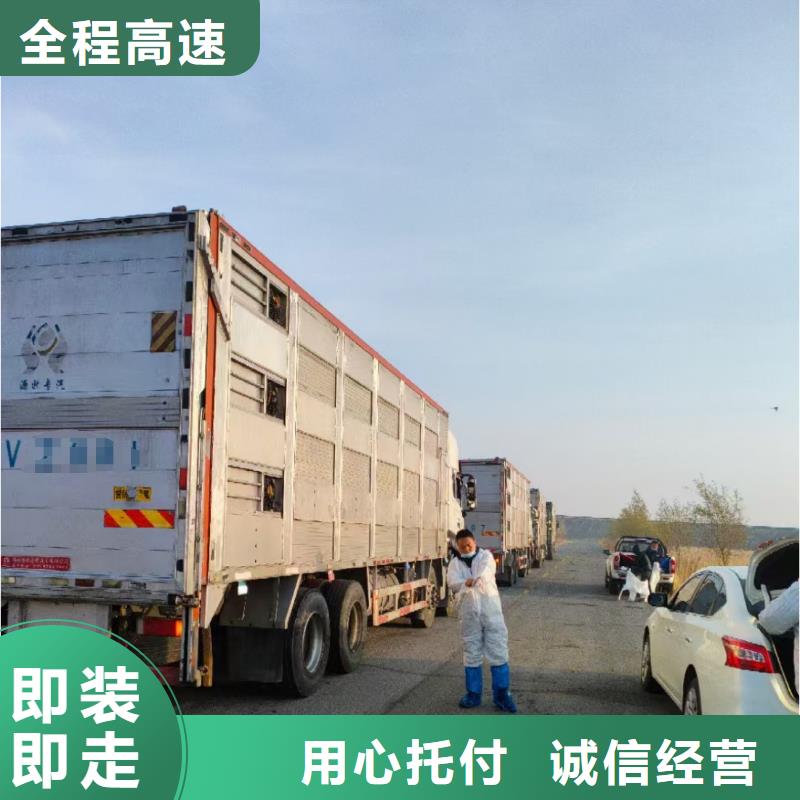 淮北到山西物流专线货运公司