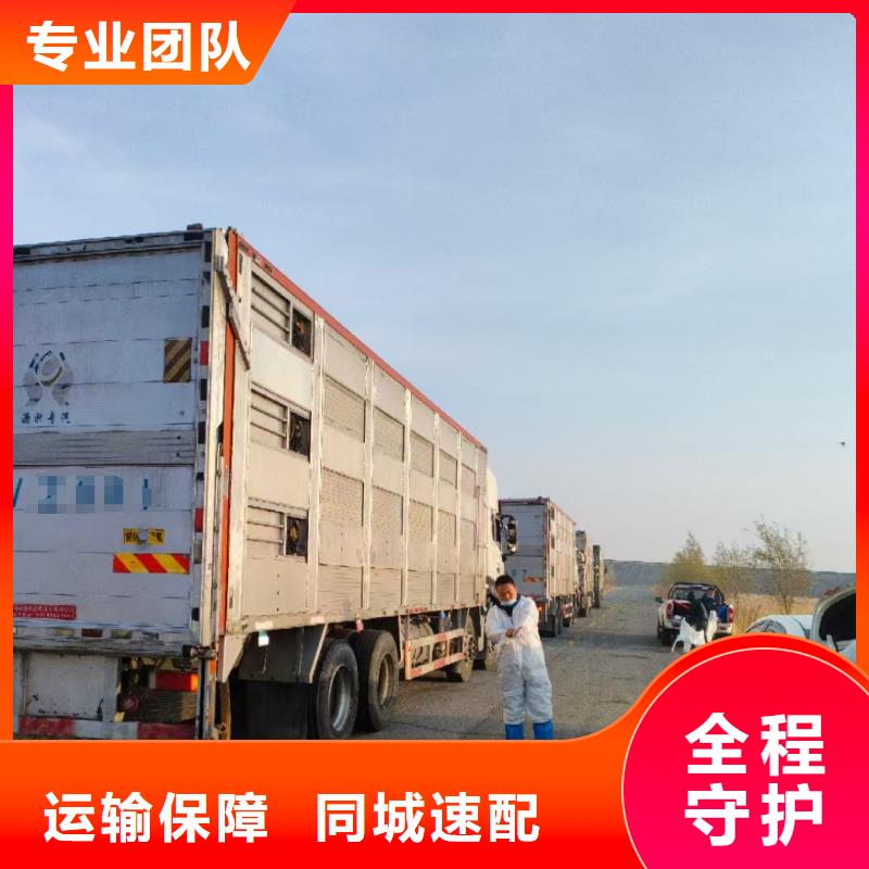 濮阳到泰安物流专线货运公司