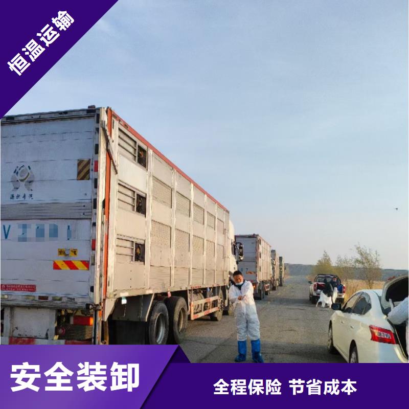 日照到新疆物流专线货运公司