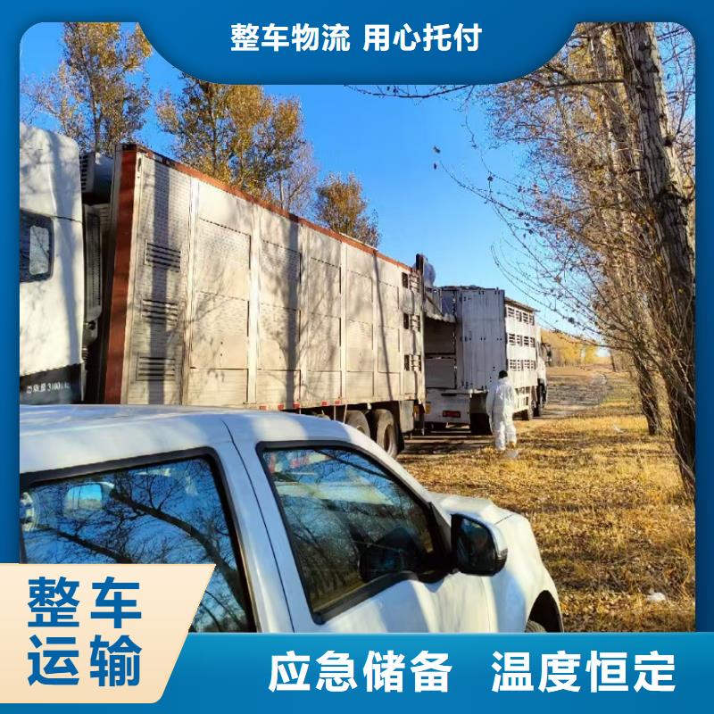 尉氏到舟山物流专线货运公司