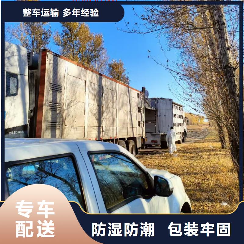 周口到云南物流专线货运公司