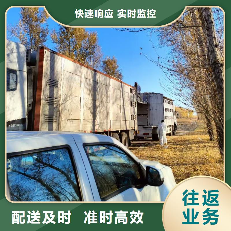 周口到广东物流专线货运公司
