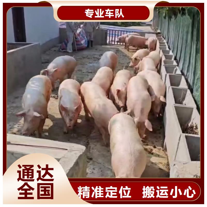 涟水到娄底物流专线货运公司