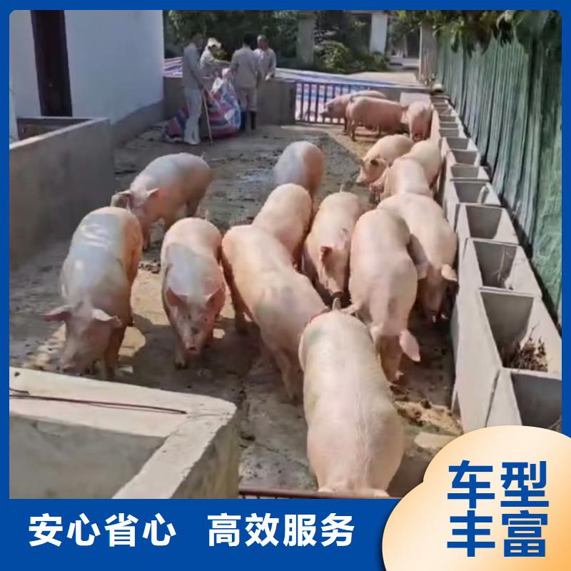 淮北到榆林物流专线货运公司