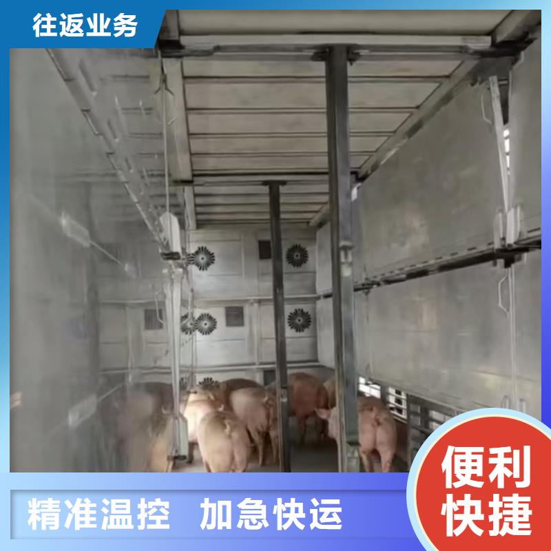 濮阳到承德物流专线货运公司