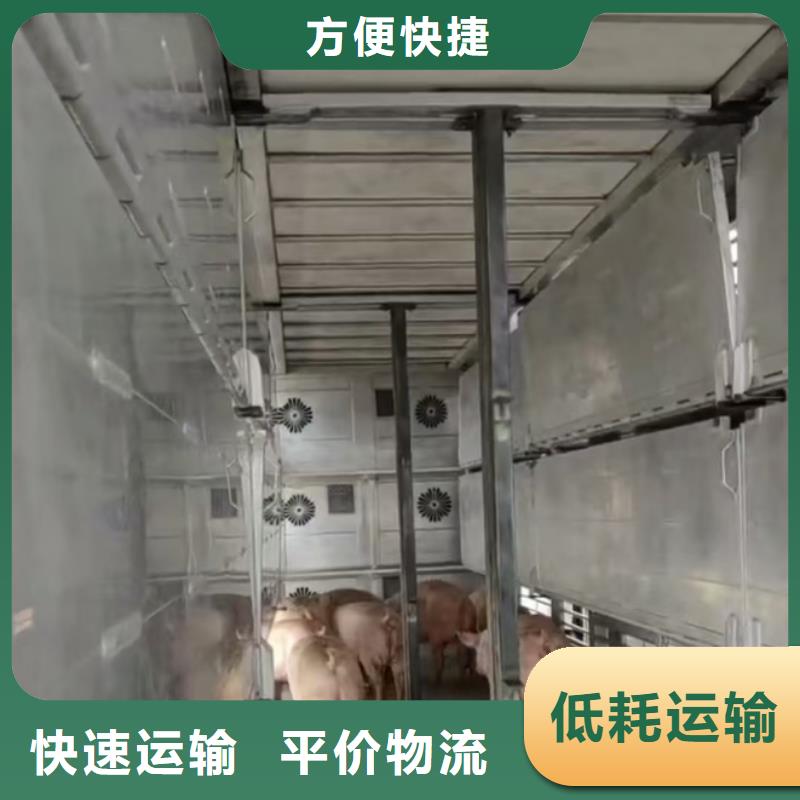 周口到黑龙江物流专线货运公司