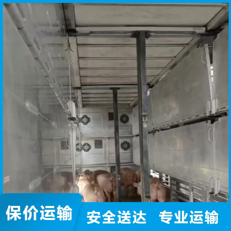 周口到东营物流专线货运公司