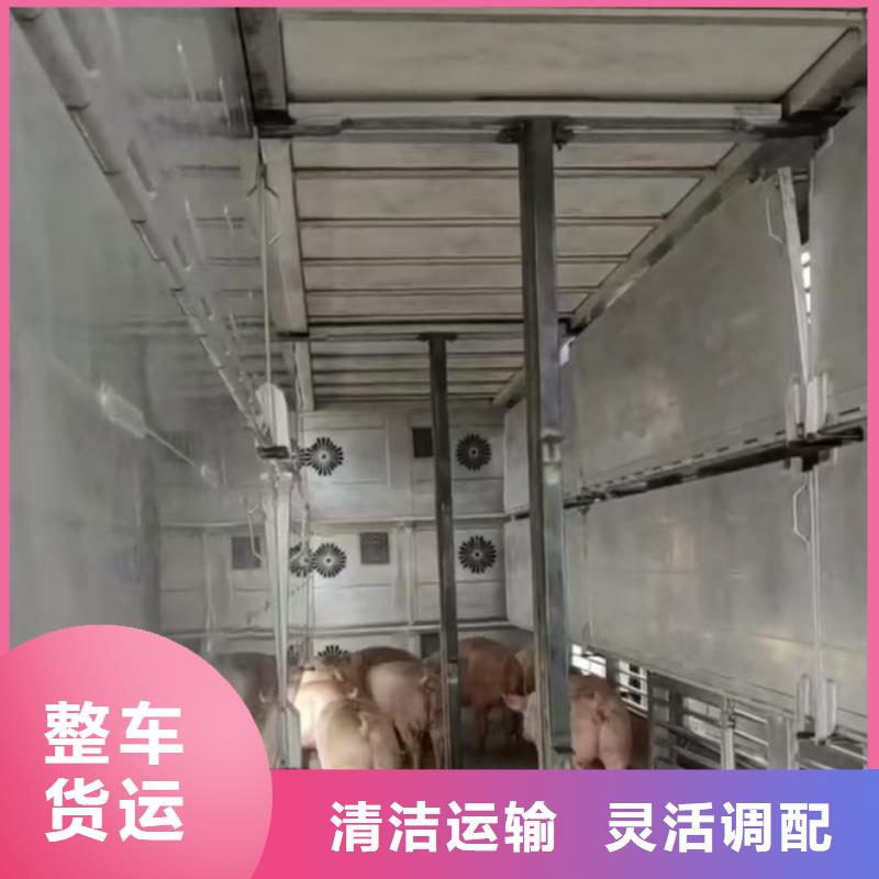 淮北到汕尾物流专线货运公司