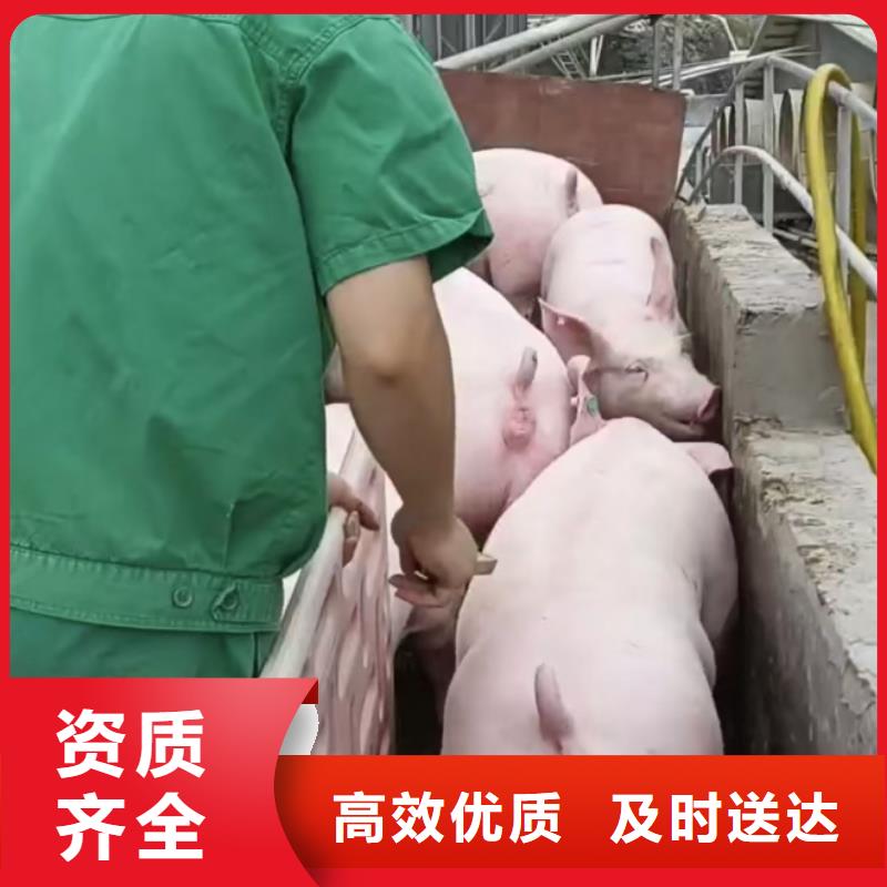 淮北到云南物流专线货运公司