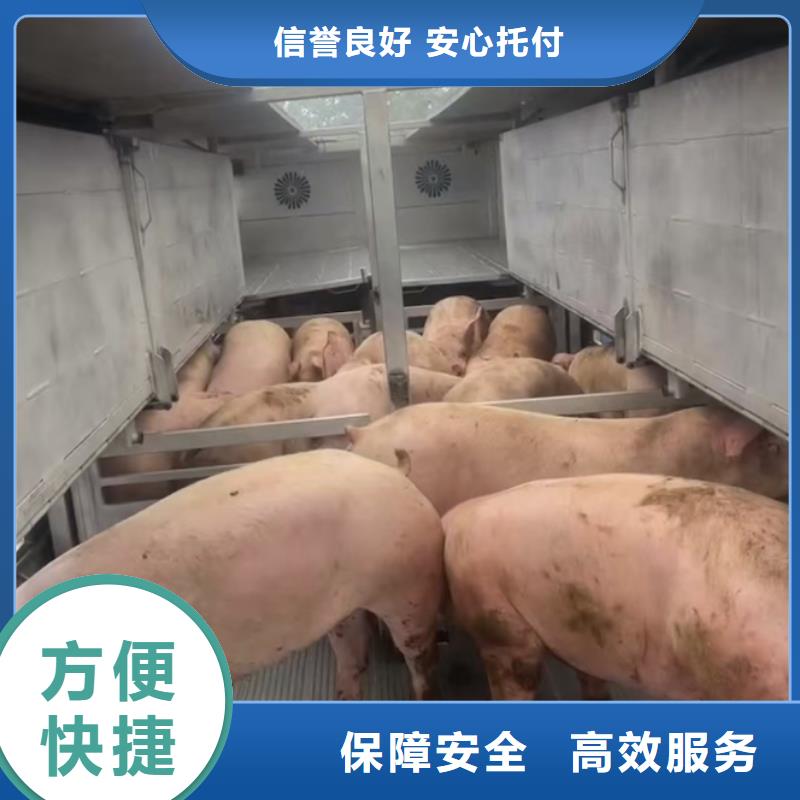 日照到安康物流专线货运公司