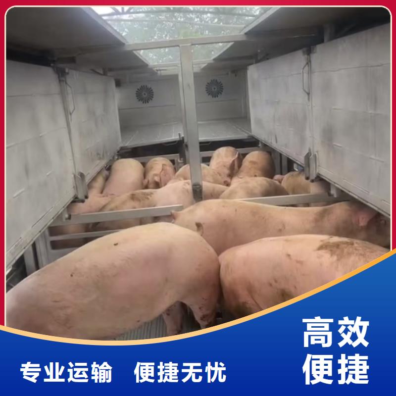 滁州到宿迁物流专线货运公司