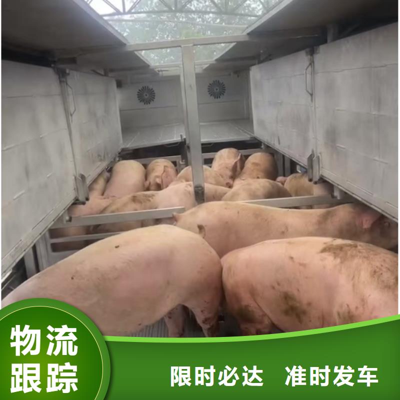 日照到巴中物流专线货运公司