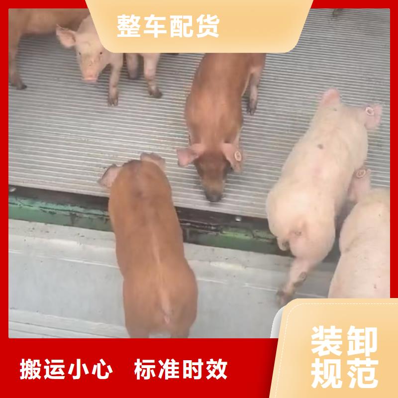 滁州到钦州物流专线货运公司