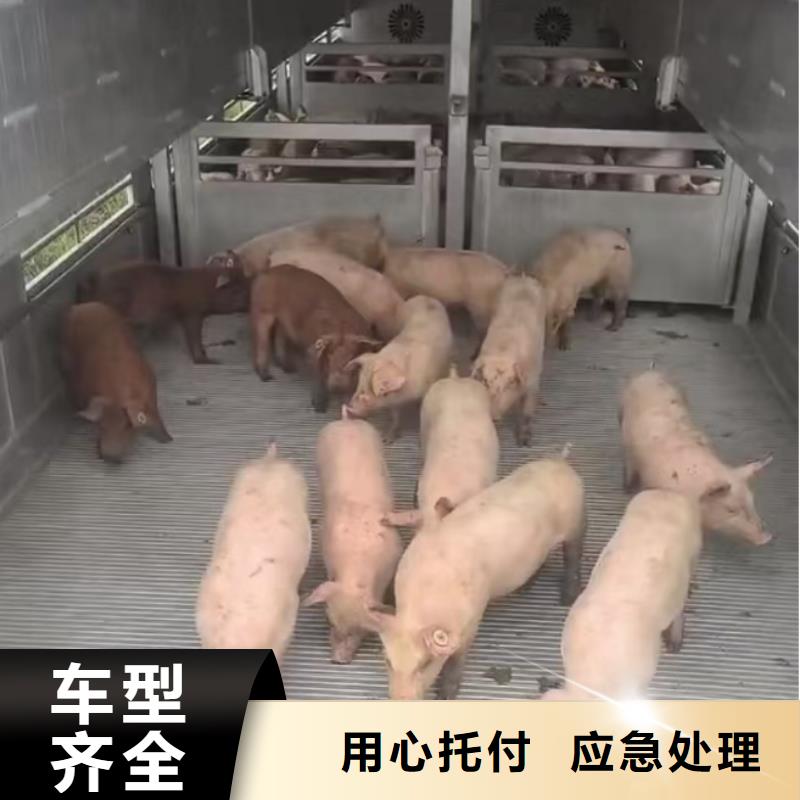 涟水到盐城物流专线货运公司