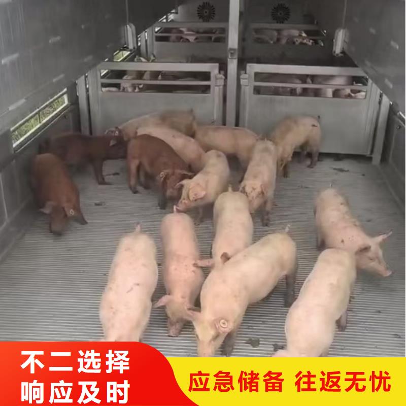 涟水到荆州物流专线货运公司