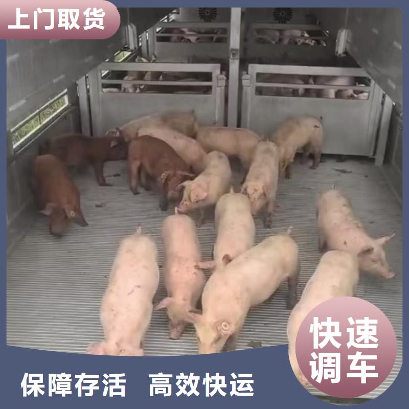 滁州到钦州物流专线货运公司