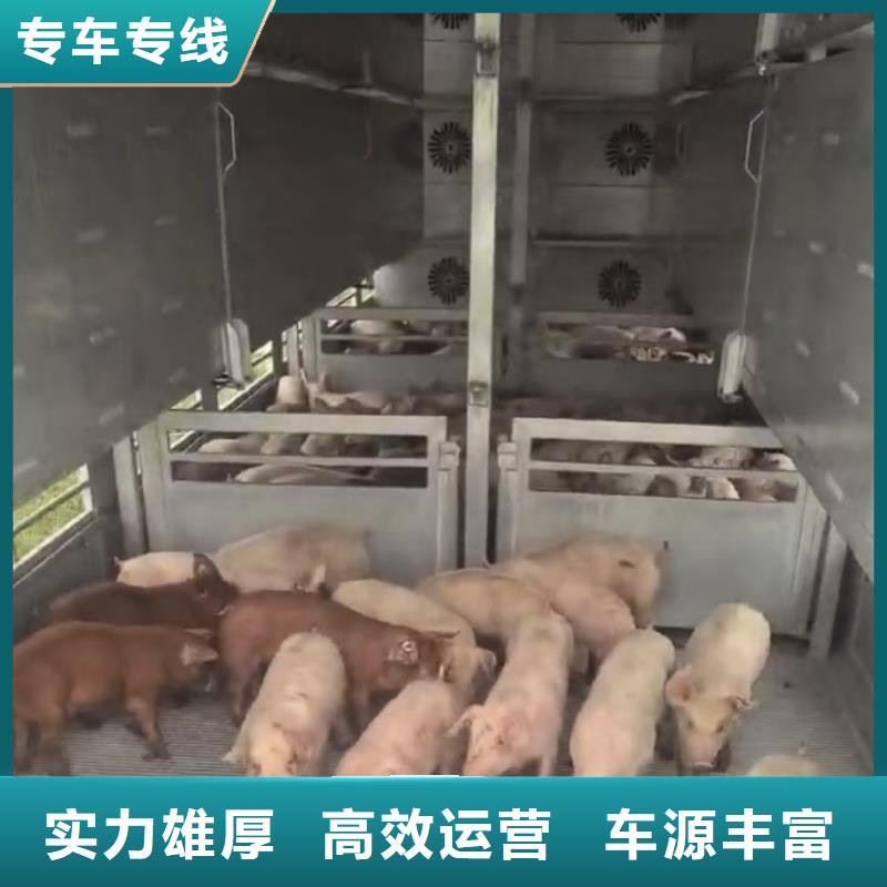 淮北到鹤岗物流专线货运公司