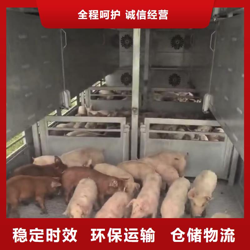 日照到衢州物流专线货运公司