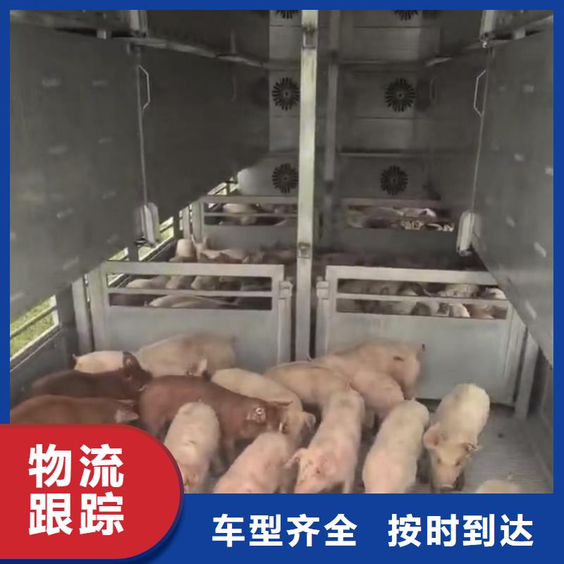 日照到玉林物流专线货运公司