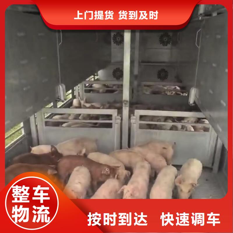 濮阳到乌鲁木齐物流专线货运公司