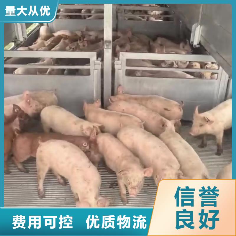 淮北到铜川物流专线货运公司