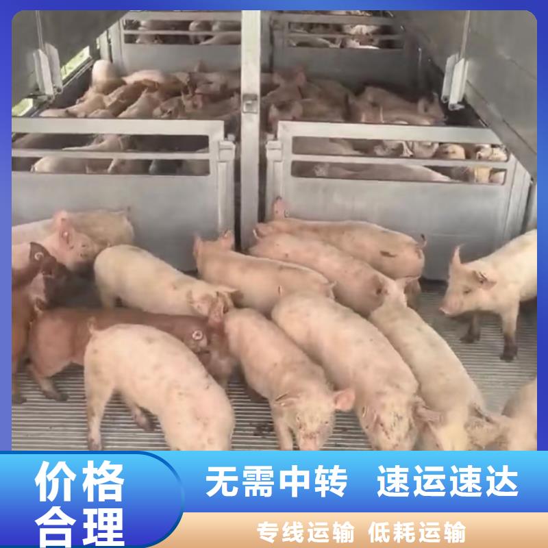 阜阳到铜仁物流专线货运公司