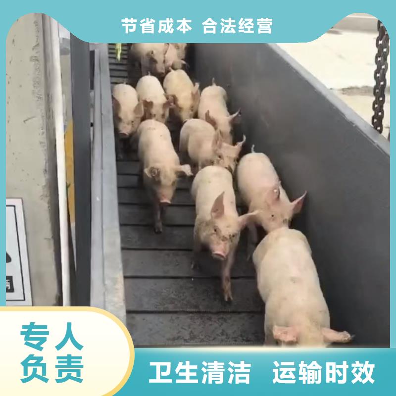 日照到绍兴物流专线货运公司