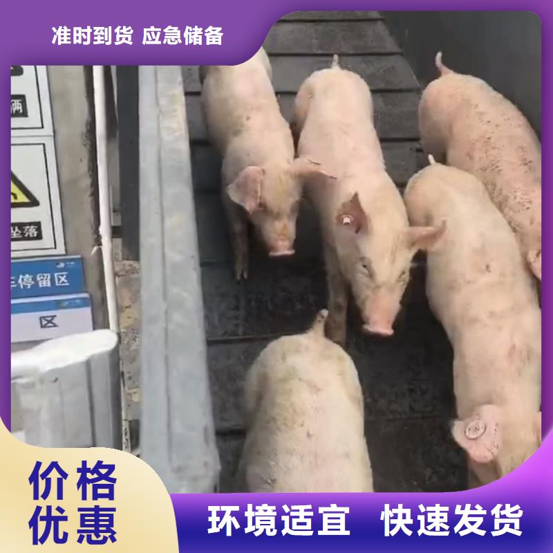 日照到黔东南物流专线货运公司