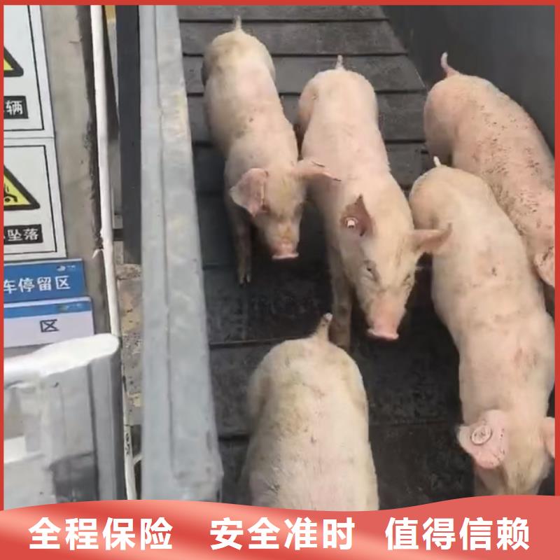 淮北到衡阳物流专线货运公司