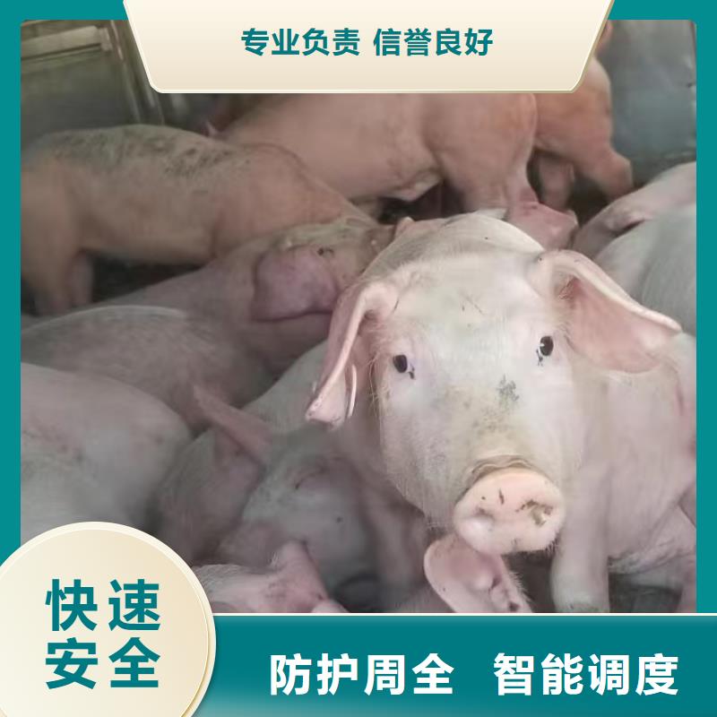 涟水到台湾物流专线货运公司