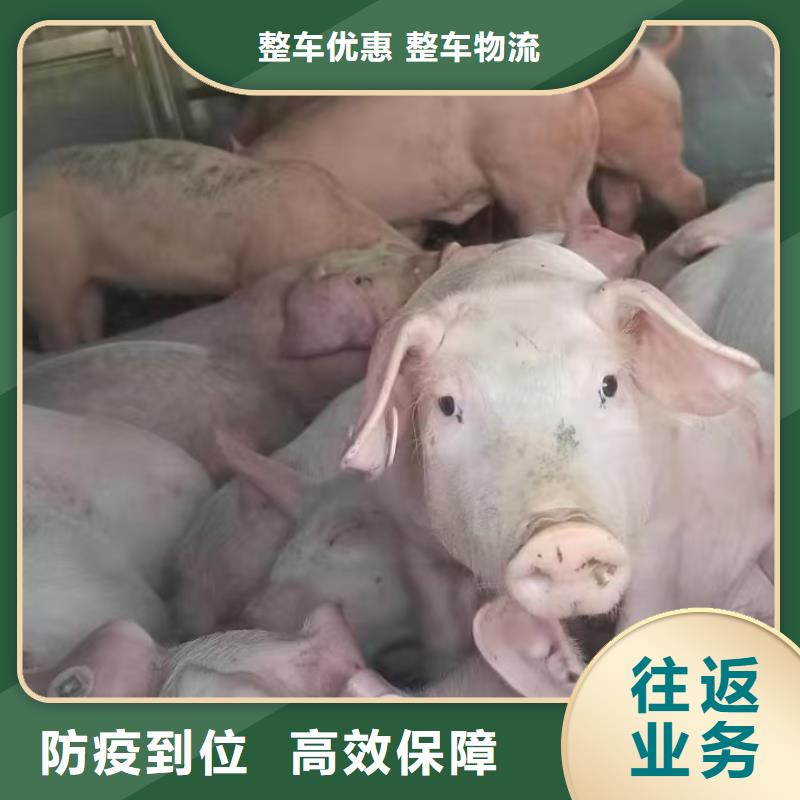 淮北到浙江物流专线货运公司