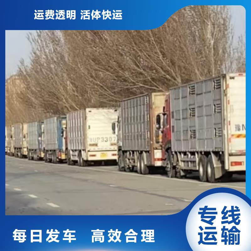 淮北到浙江物流专线货运公司