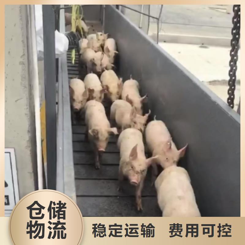 日照到黔西南物流专线货运公司