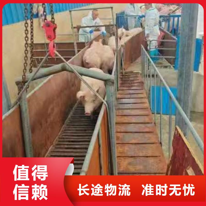 周口到资阳物流专线货运公司