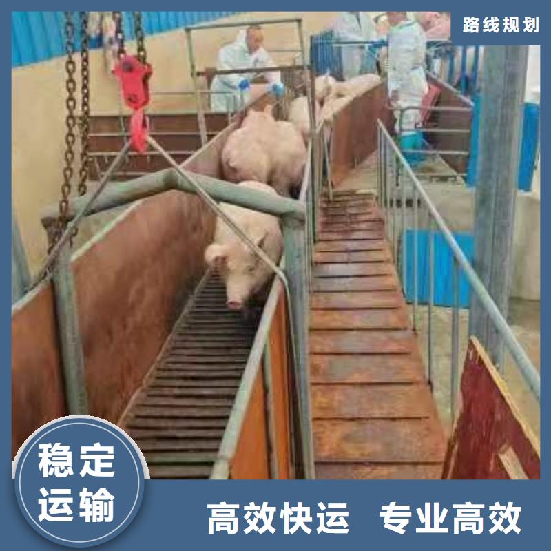 淮北到白银物流专线货运公司