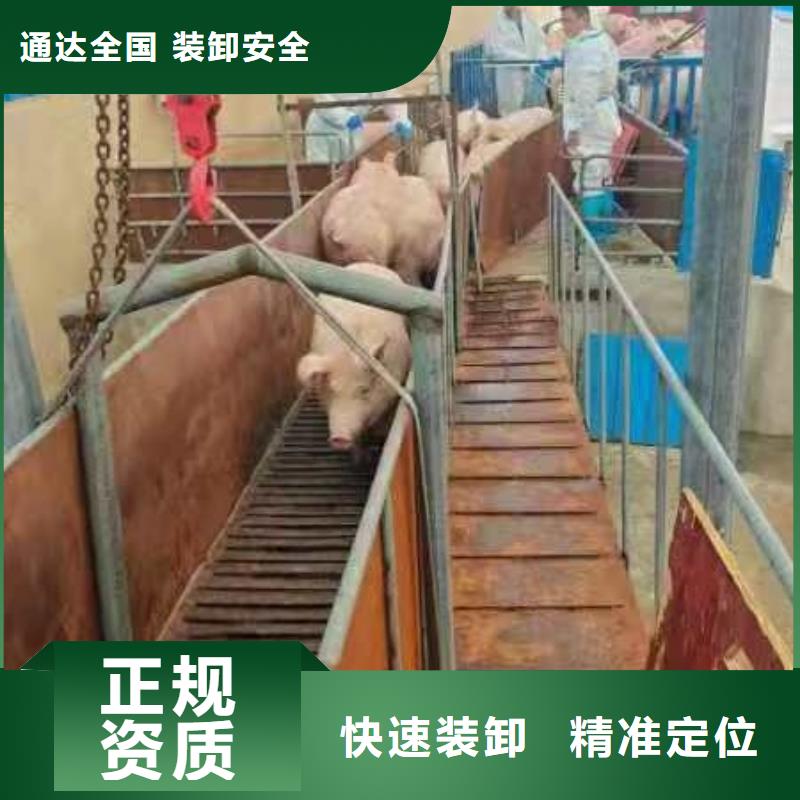 濮阳到驻马店物流专线货运公司