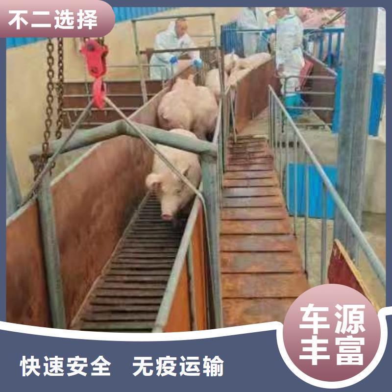 涟水到威海物流专线货运公司