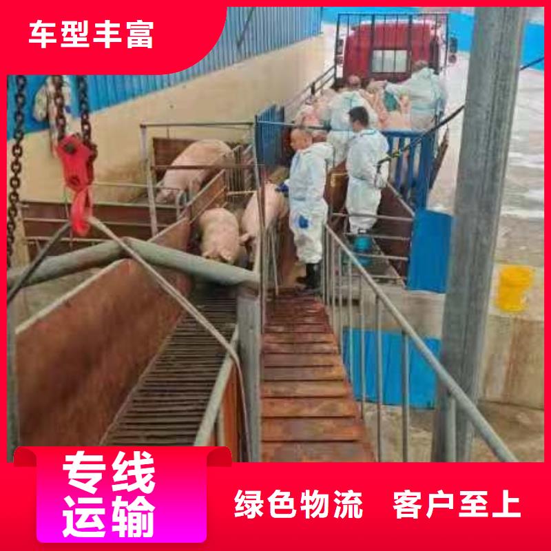 淮北到伊犁物流专线货运公司